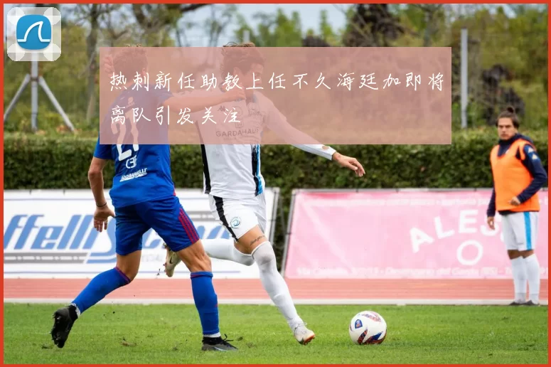 热刺新任助教上任不久海廷加即将离队引发关注