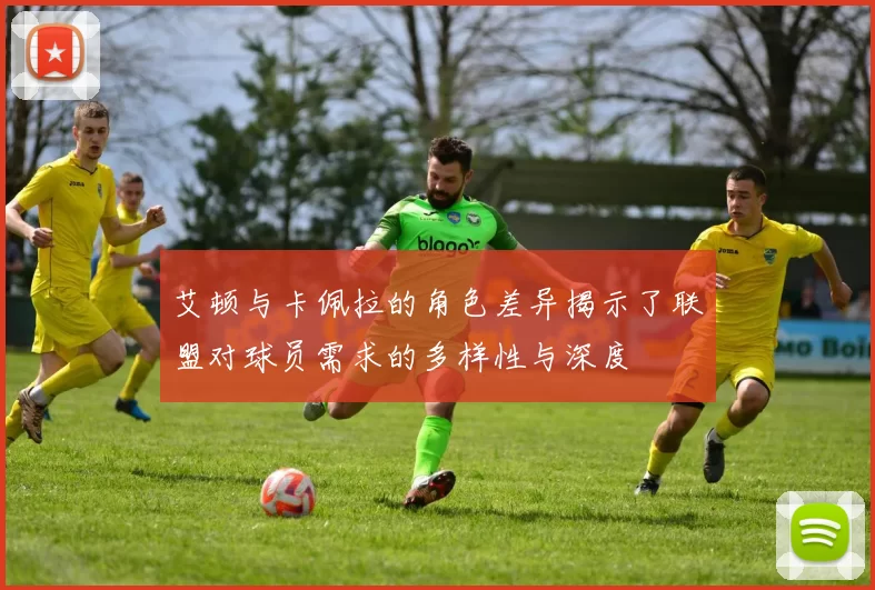 艾顿与卡佩拉的角色差异揭示了联盟对球员需求的多样性与深度